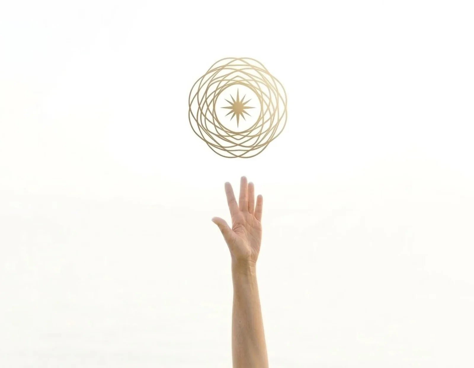 Transformation and connection